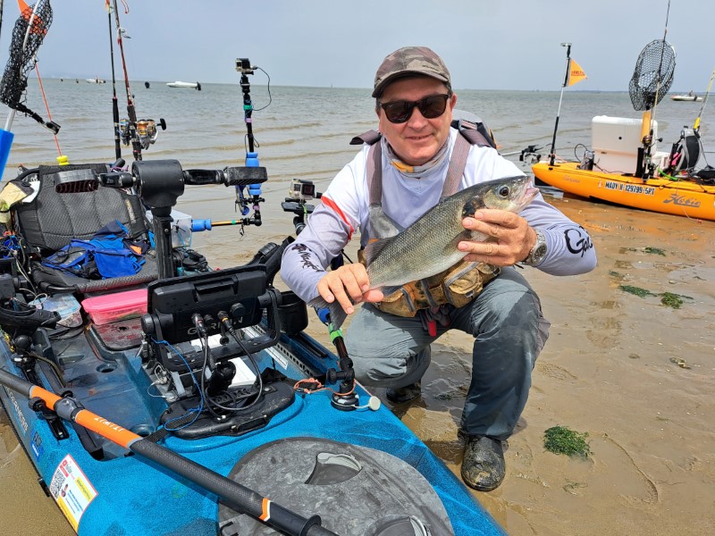 Fish Profile Picture