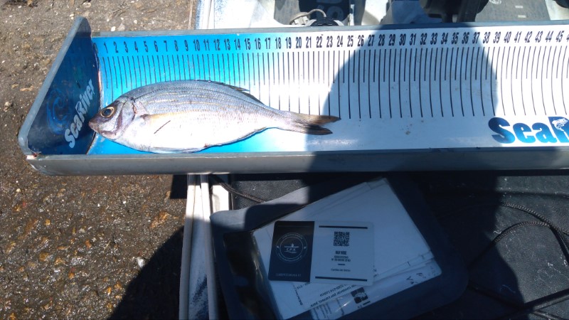 Fish Measure Picture