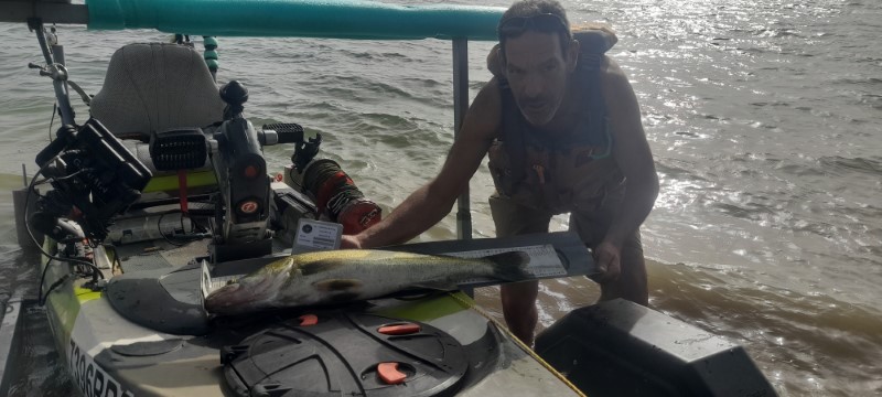 Fish Profile Picture