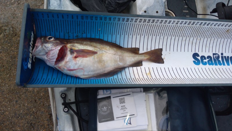 Fish Measure Picture