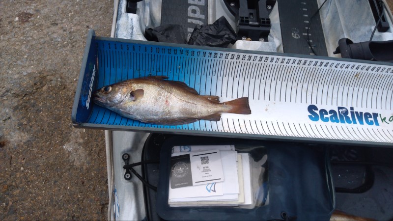 Fish Measure Picture