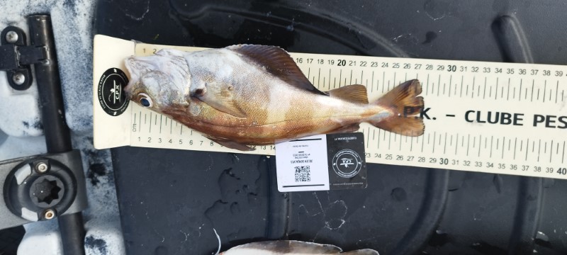 Fish Measure Picture