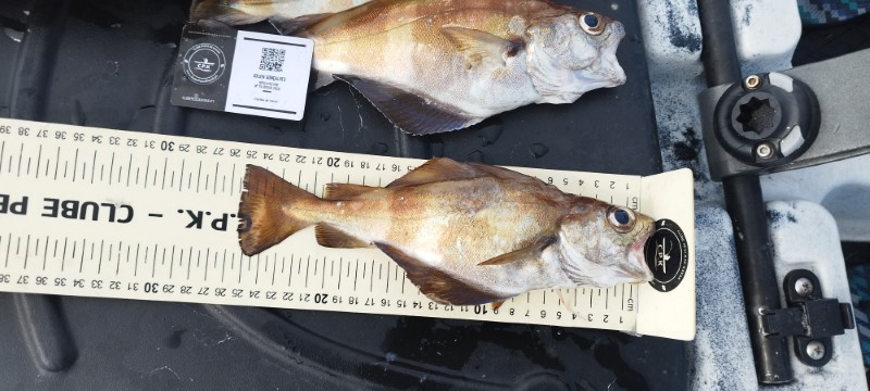 Fish Measure Picture