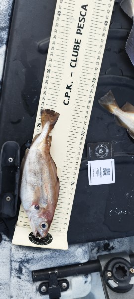 Fish Measure Picture