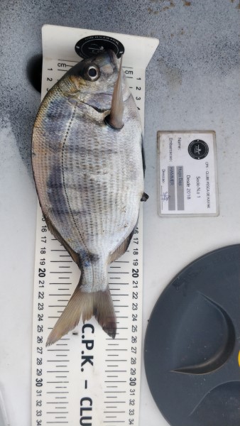 Fish Measure Picture