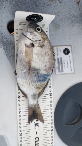 Fish Measure Picture