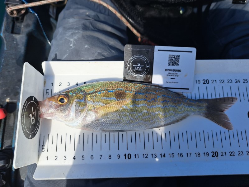Fish Measure Picture