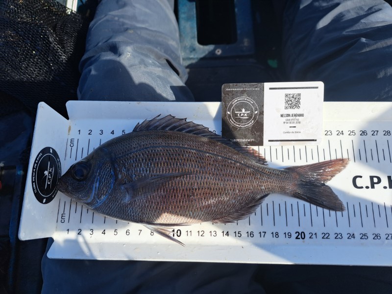 Fish Measure Picture