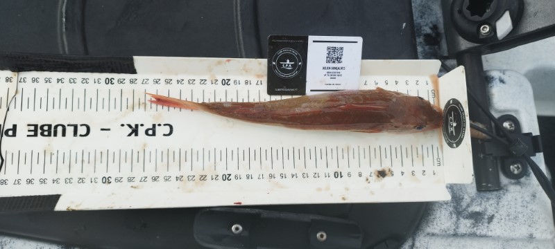Fish Measure Picture