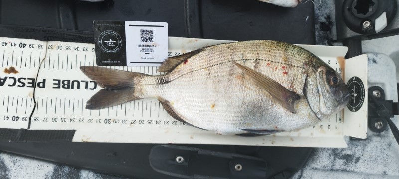 Fish Measure Picture