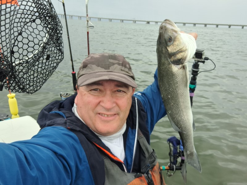 Fish Profile Picture