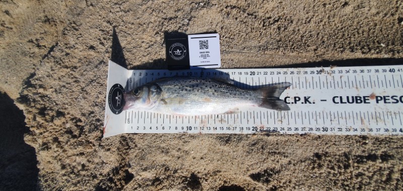 Fish Measure Picture