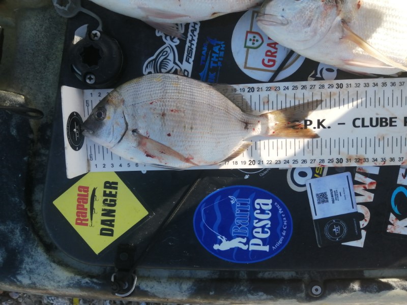 Fish Measure Picture