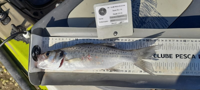 Fish Measure Picture