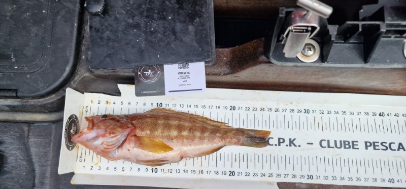 Fish Measure Picture