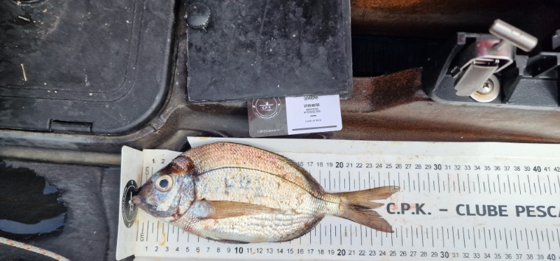 Fish Measure Picture