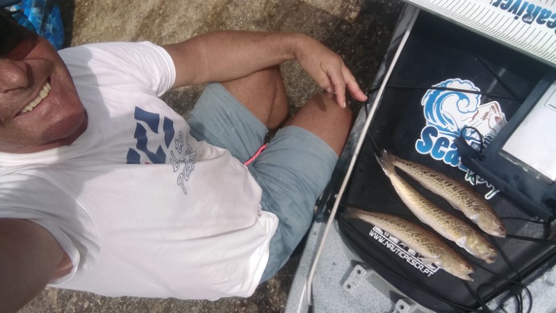 Fish Profile Picture