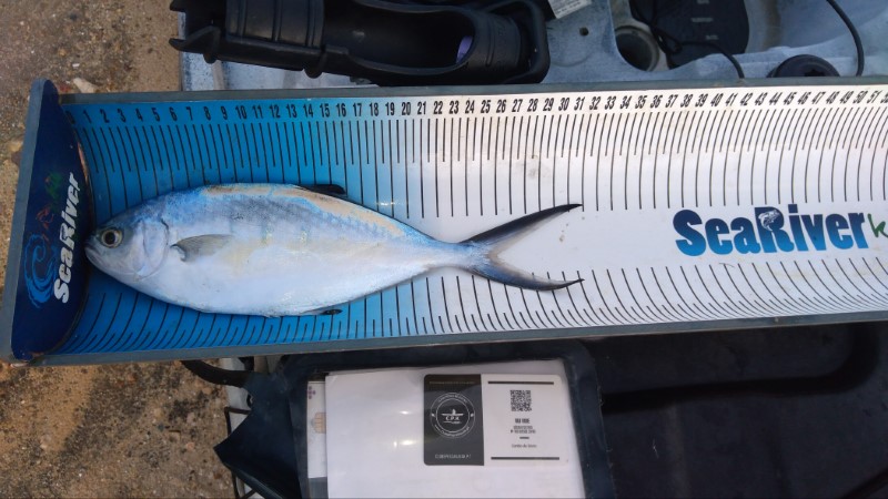 Fish Measure Picture