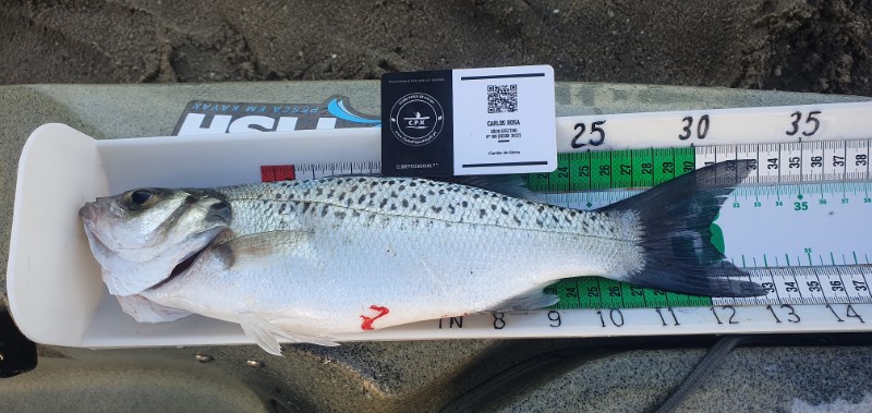 Fish Measure Picture