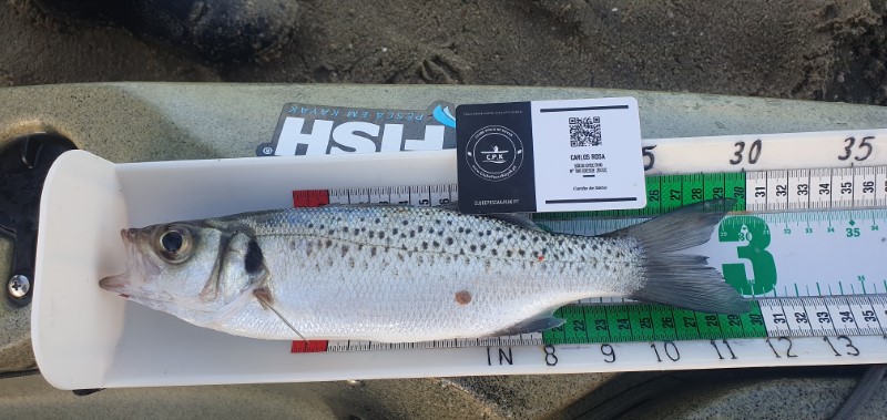 Fish Measure Picture