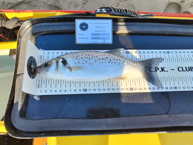 Fish Measure Picture