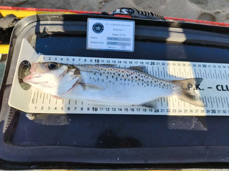 Fish Measure Picture