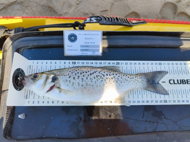 Fish Measure Picture