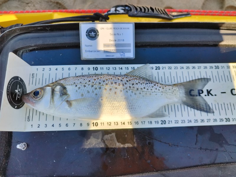 Fish Measure Picture