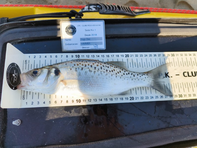 Fish Measure Picture