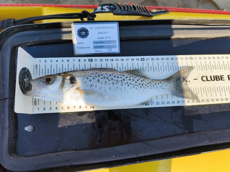 Fish Measure Picture