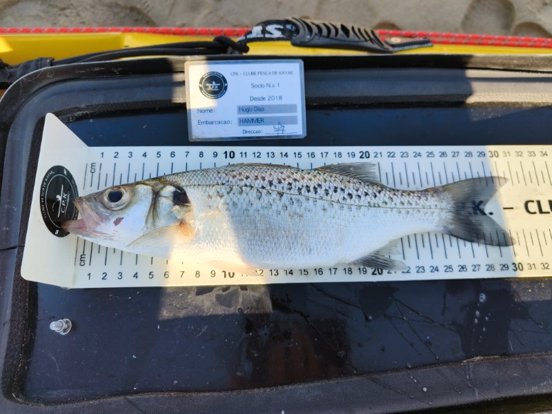Fish Measure Picture