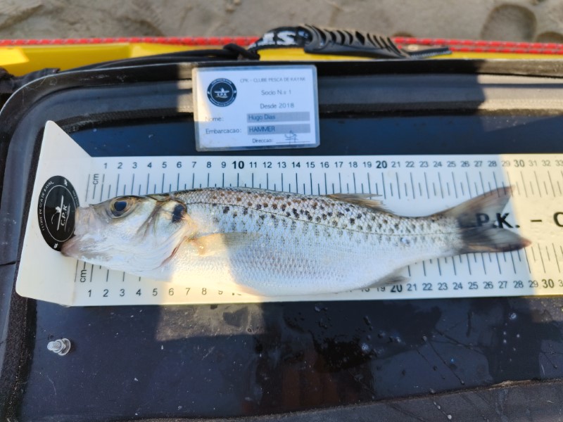 Fish Measure Picture