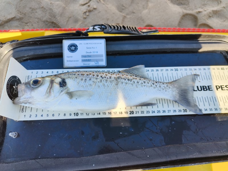 Fish Measure Picture
