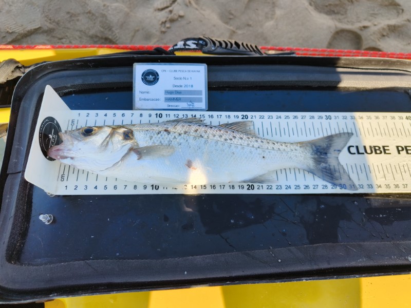 Fish Measure Picture