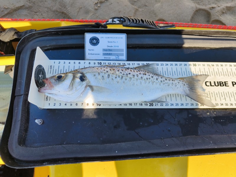 Fish Measure Picture