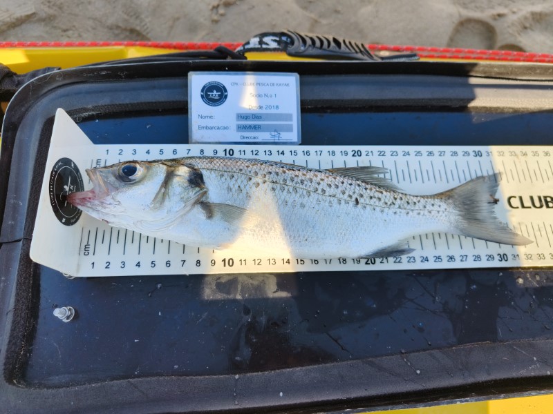Fish Measure Picture