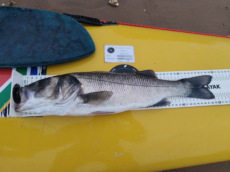 Fish Measure Picture