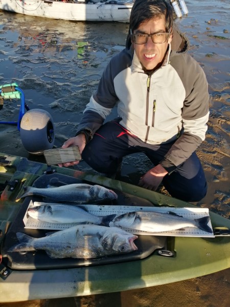 Fish Profile Picture