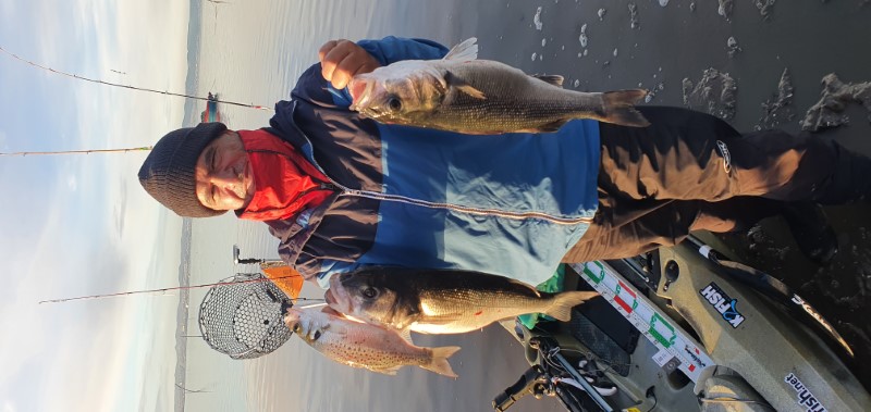 Fish Profile Picture