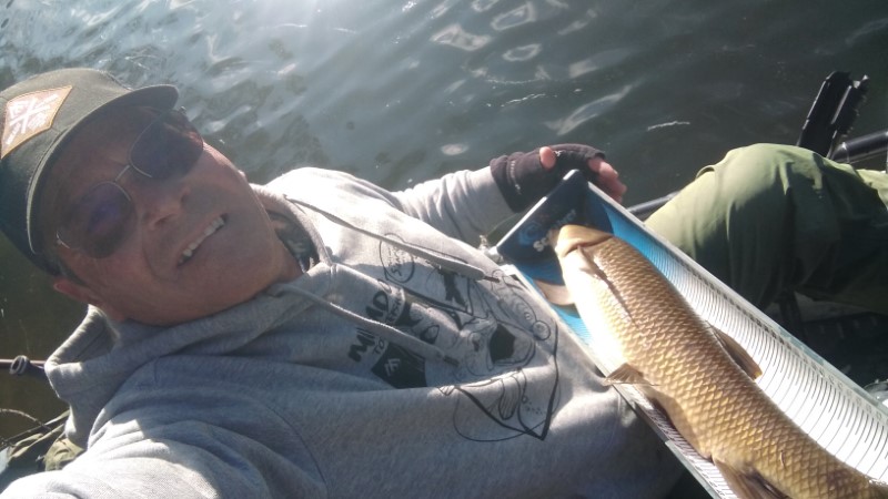 Fish Profile Picture