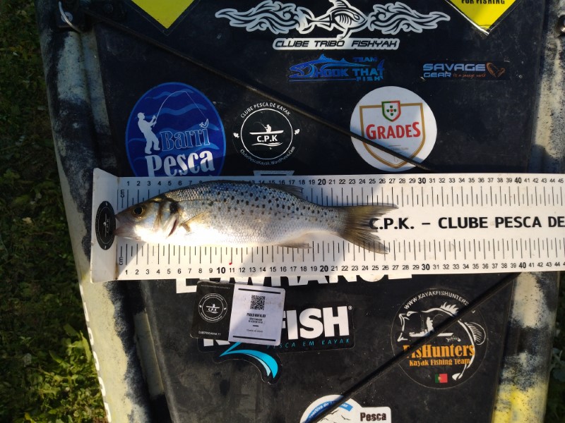 Fish Measure Picture