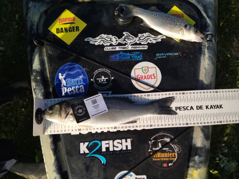 Fish Measure Picture