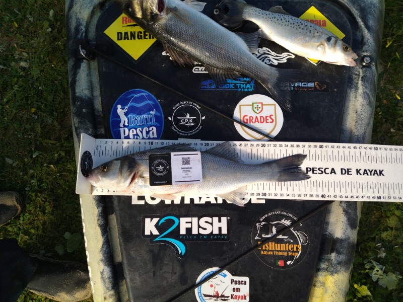 Fish Measure Picture