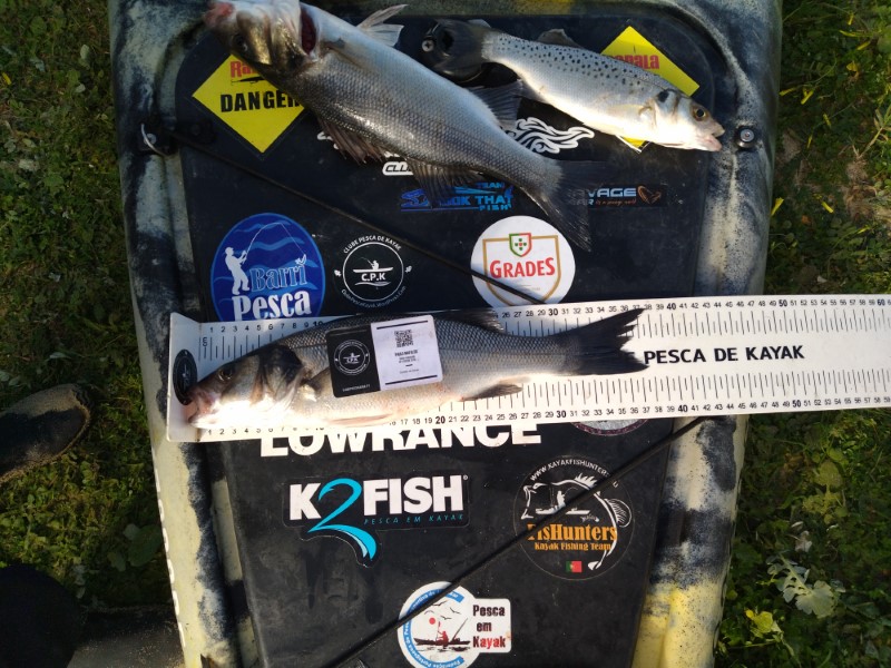 Fish Measure Picture