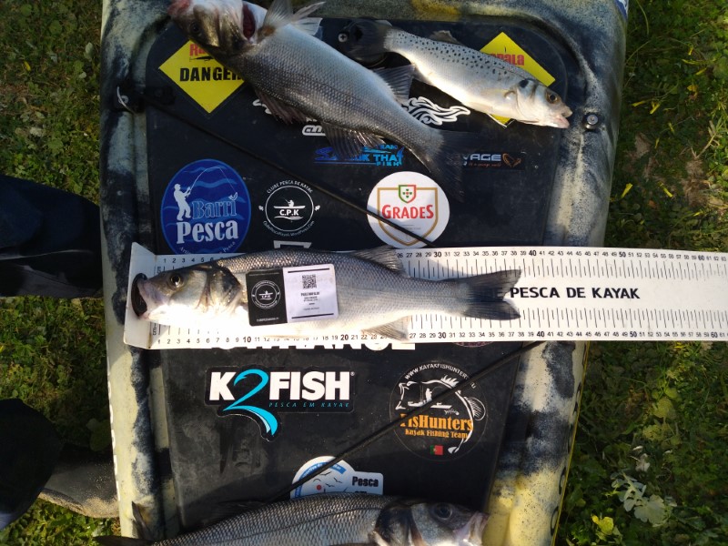 Fish Measure Picture