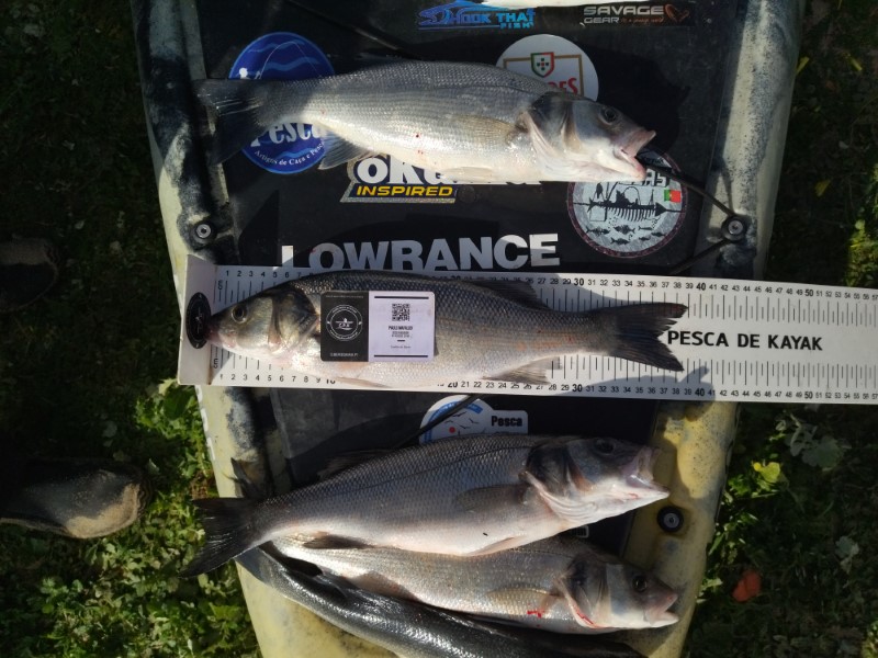 Fish Measure Picture