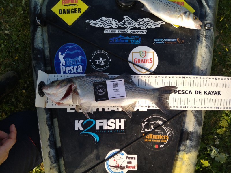 Fish Measure Picture
