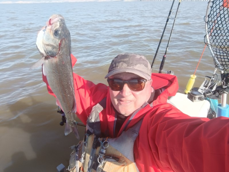 Fish Profile Picture