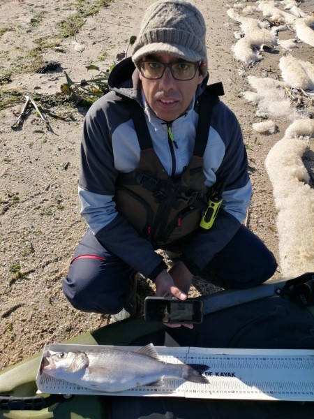 Fish Profile Picture