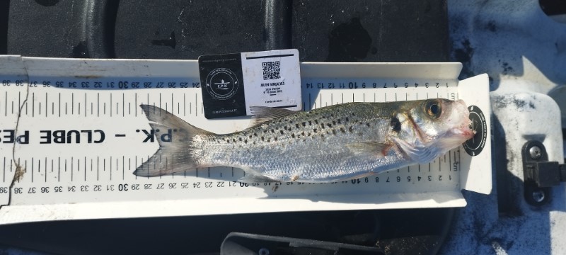 Fish Measure Picture